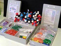 DNA and Genetics Modelling