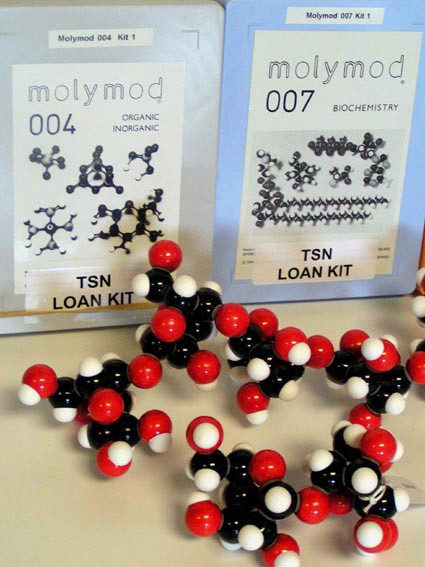 Molymod Molecular Modelling | Teacher Scientist Network