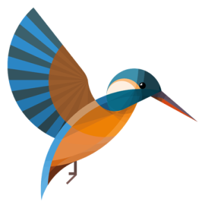 kingfisher schools trust